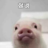 用户6731702453341头像
