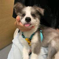 爱音乐克里斯蒂8U0头像