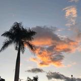 诗酒不是酒头像