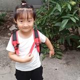 兴琰琪静头像