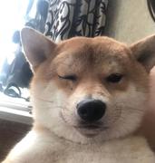 用户6559791996985的个人资料头像