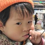 哈啦嗎嘶头像