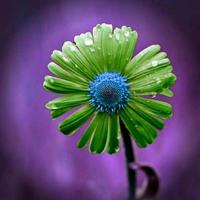 用户7556061593749头像