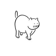 二季猫的个人资料头像