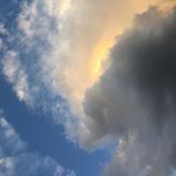 田清峰417头像