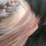 王先生说话头像