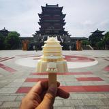 罗伯特—察哈尔头像