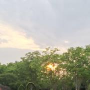 橘子洲头看万山红遍汽水君104069的个人资料头像