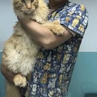 卍姜DA牙卐头像