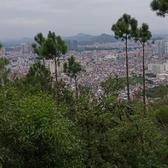 好友取消头像