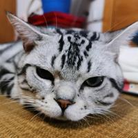 清一色20226S5I头像
