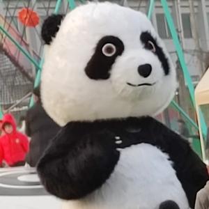 熊猫康康爱音乐头像