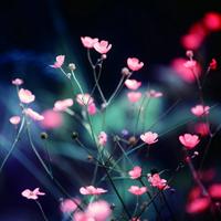 静守己心132头像