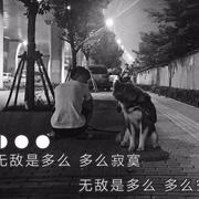 Shery的个人资料头像