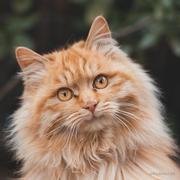 9997896的个人资料头像