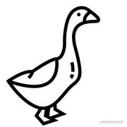 小塔_Zrea的个人资料头像