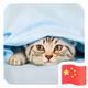 胡美丽与吴富贵 · 宋Pro DM车主·新提车头像