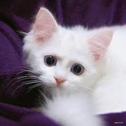 情雨随风的个人资料头像