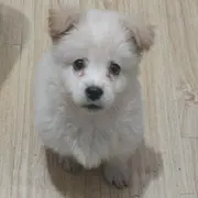 cyixlq的个人资料头像
