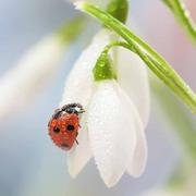 Owen536的个人资料头像