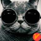 以后的事以后再说吧的个人资料头像