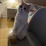 吸管f头像