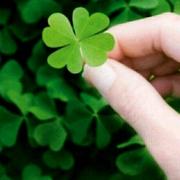 爱笑的眼睛pyb的个人资料头像