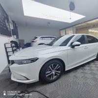 受伤的母狼头像