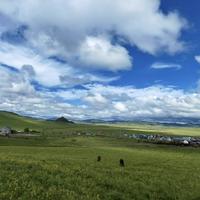 富甲一方的悦头像