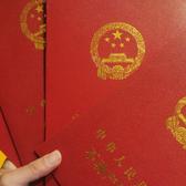 宝马一梦头像