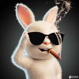 博学多才的风姿卓越一夜暴富头像