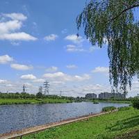 路遥知油耗头像