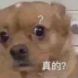 三岡大佐头像