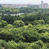 陆新88头像