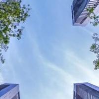 基金菜鸟666头像