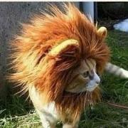 ryan0的个人资料头像