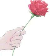 用户9933209944006的个人资料头像