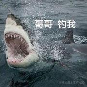 0寻0的个人资料头像