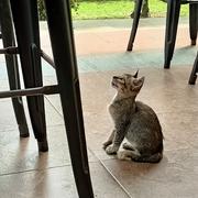 星雨露的个人资料头像