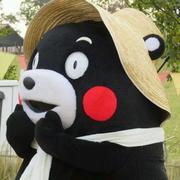 丁丁叮叮的个人资料头像