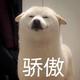 大梦一场的老杨先生头像