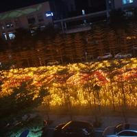 威威风靡头像