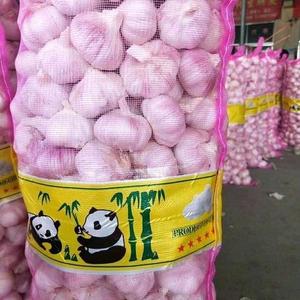 大蒜蒜种世海农资店（大蒜代办）头像