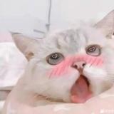 现在迷糊了头像