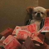 lhh头像