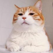 用户8186580565069的个人资料头像