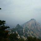 morcble的个人资料头像