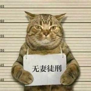 爱你的猪猪侠头像