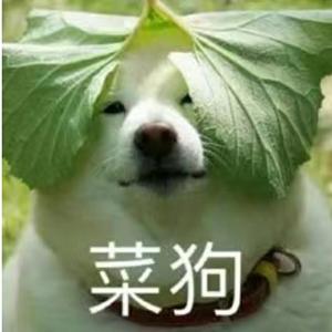 菜狗汪汪汪头像