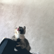 _ky的个人资料头像